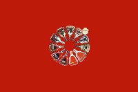 红塔区回收红酒